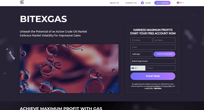 BitexGas_homepage